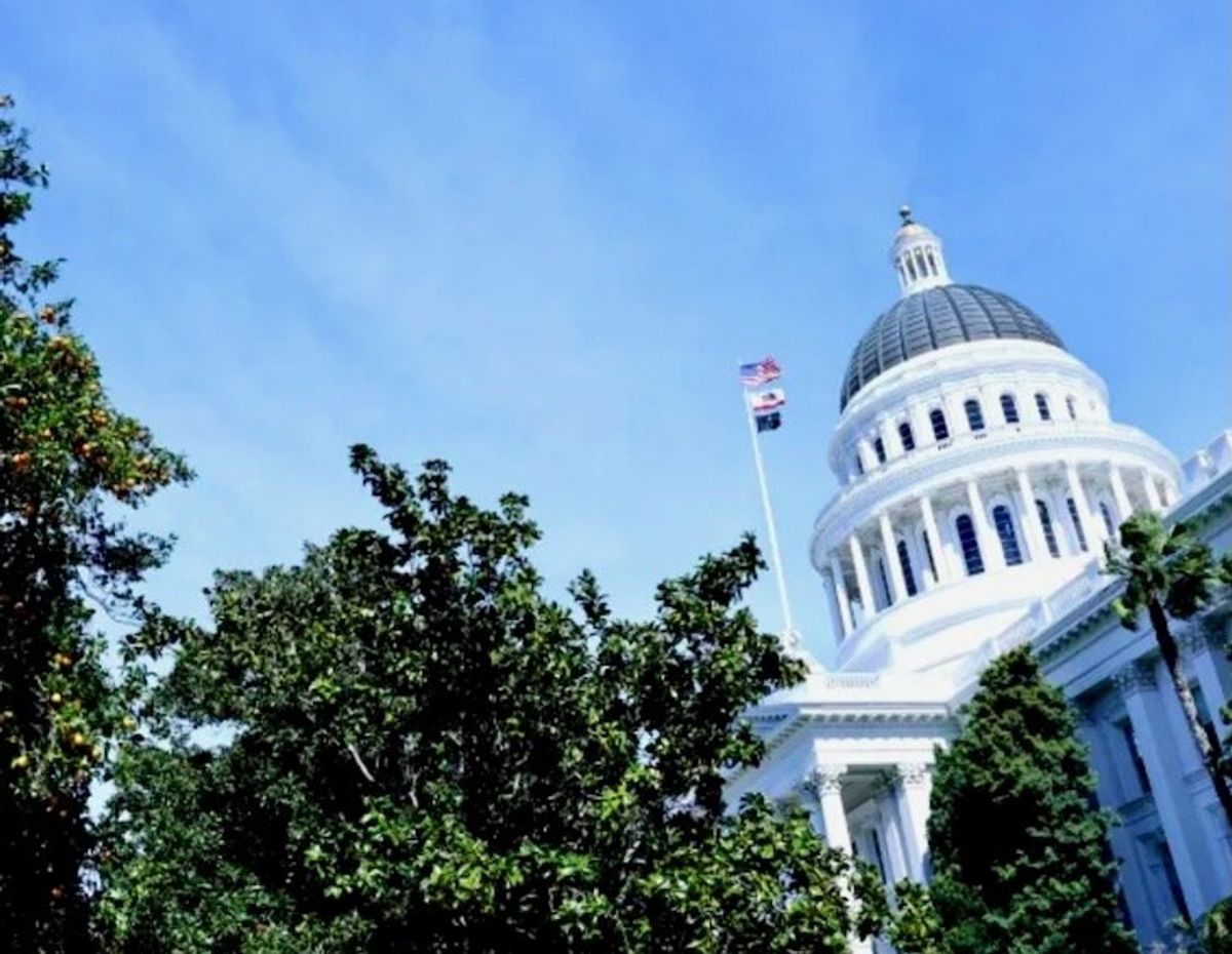 California looks to Europe to rein in AI