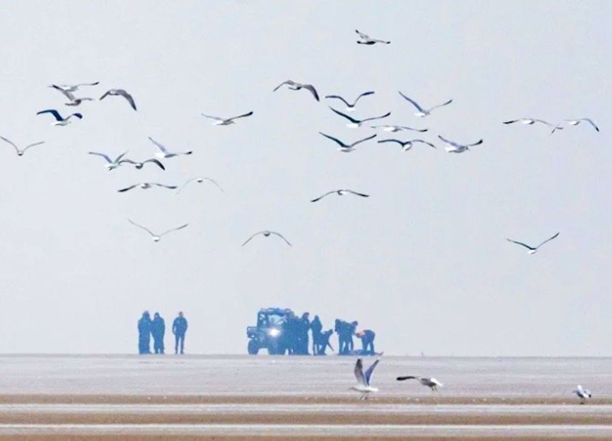 Six arrested after migrants' bodies found on French beach