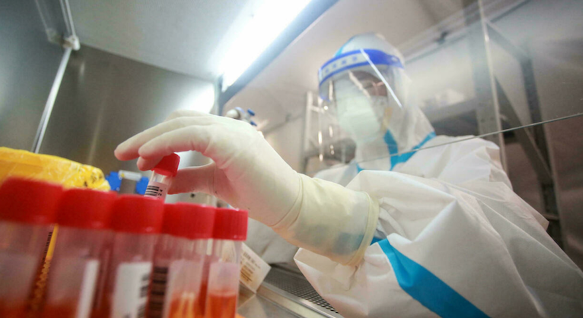 'China's Fauci' probed for plagiarism after questioning COVID policy