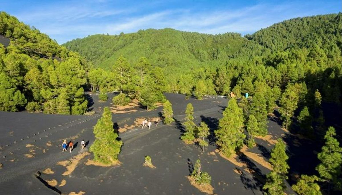 'Like a new planet': Volcano draws visitors to Spanish isle