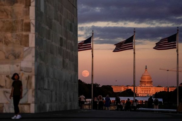 'Vanishing reminder': Massive ice sculpture delivers chilling warning on National Mall