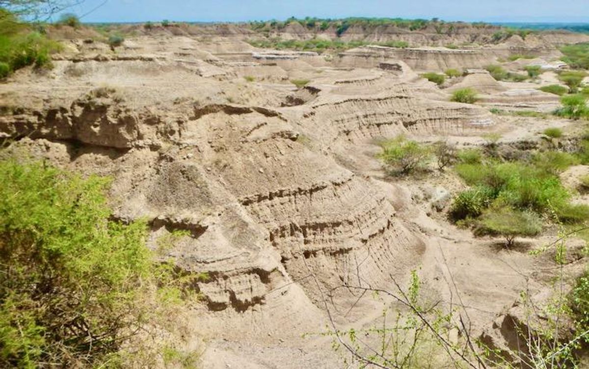 One of the oldest human fossils just got older: study