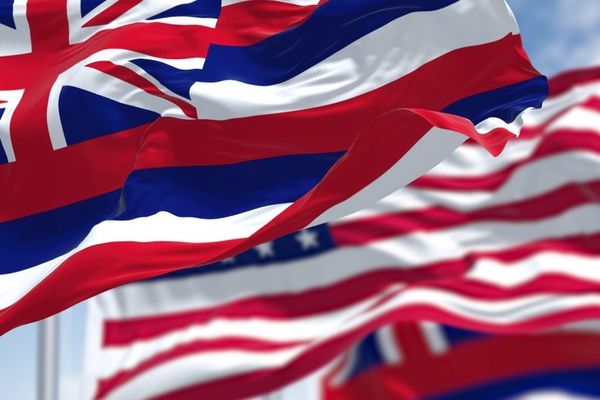 'Spiraling' Hawaii candidate charged with 'terroristic' threats after gun incident: report