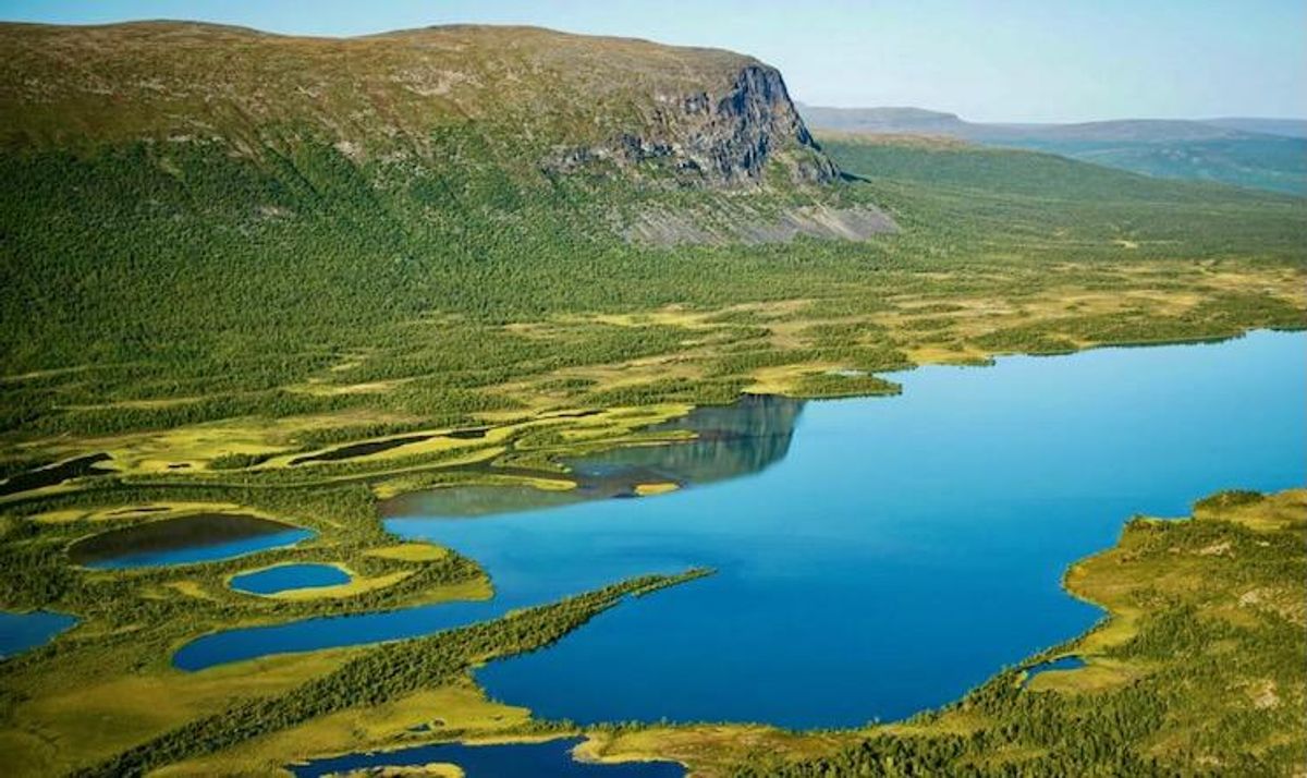 Faster growth may help bacteria remove lake plastic waste: study