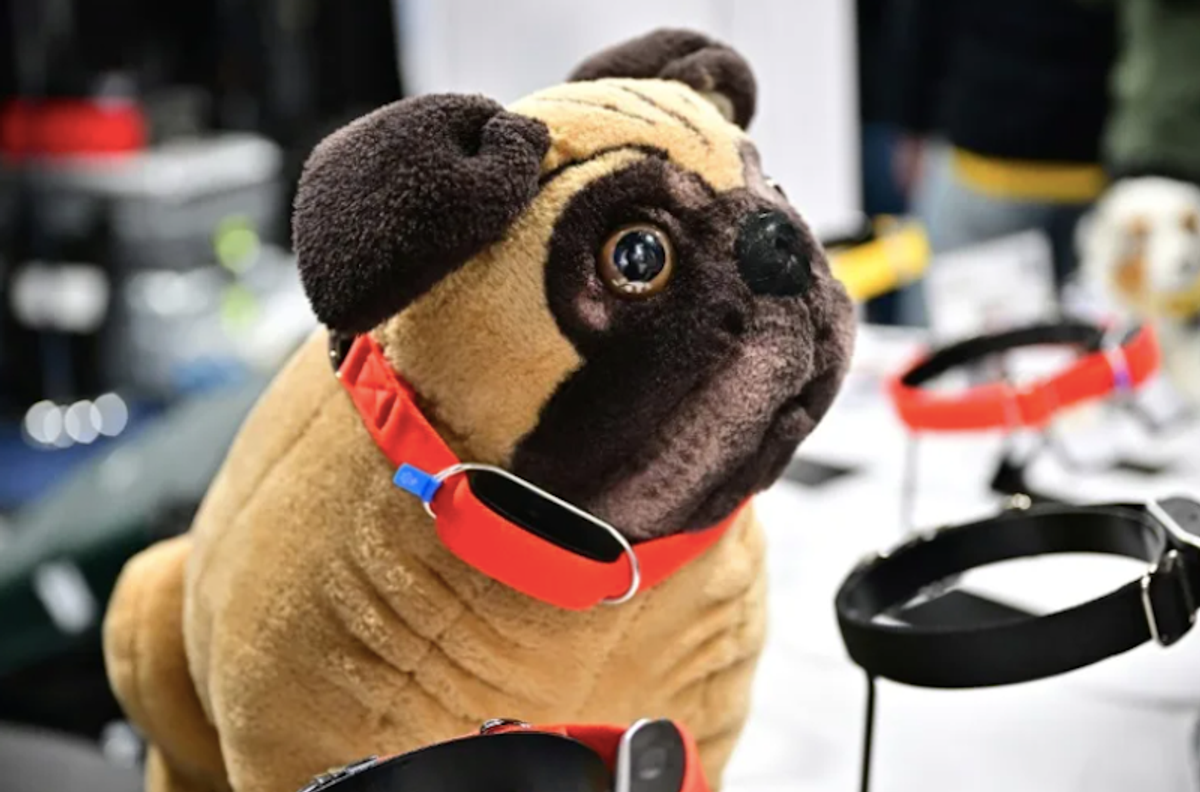 CES pet tech: Throw a dog a bone — or an AI collar