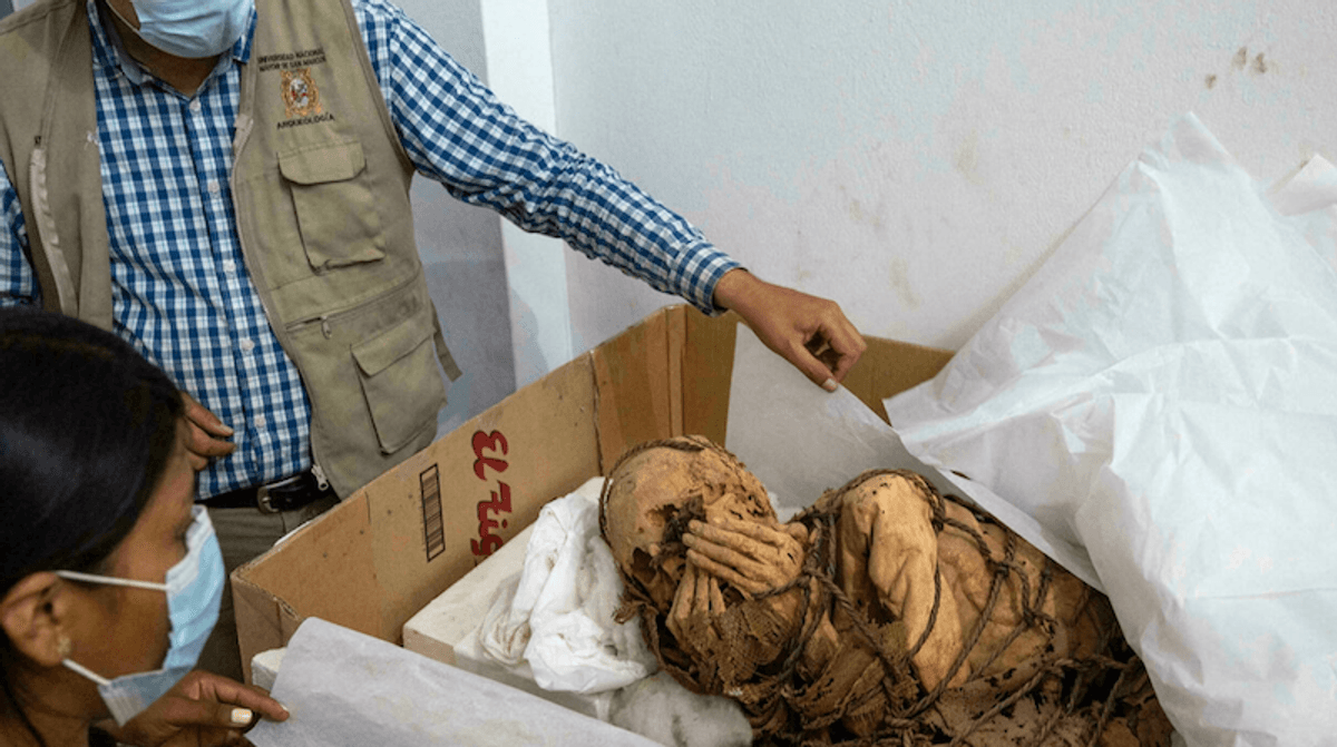Peru archeologists find mummy up to 1,200 years old