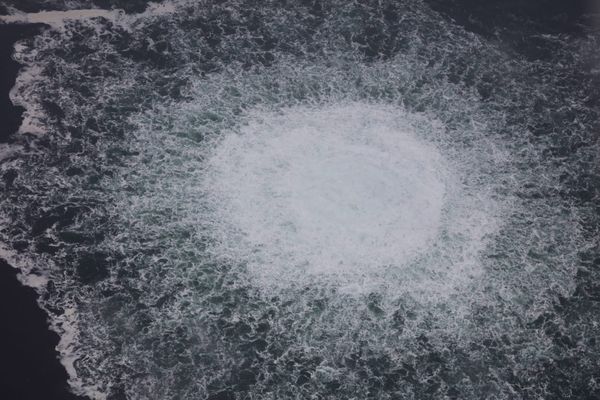 Greenpeace to investigate environmental impact of Nord Stream leaks