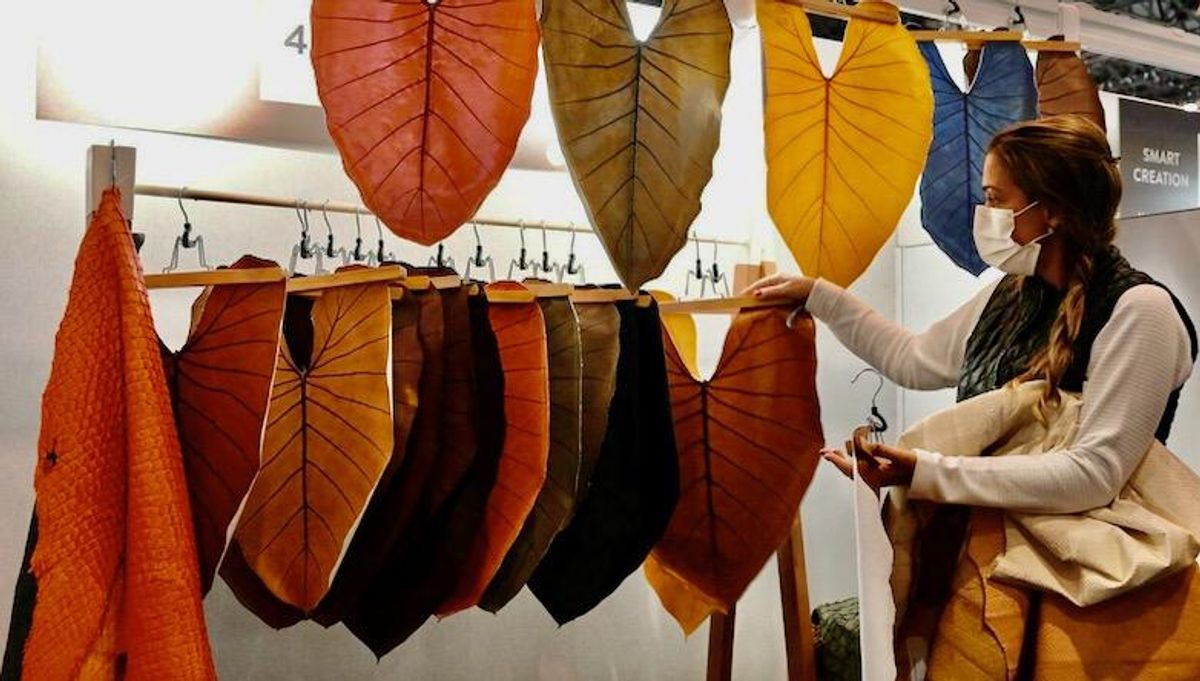 Bananas to fish scales: fashion's hunt for eco-materials