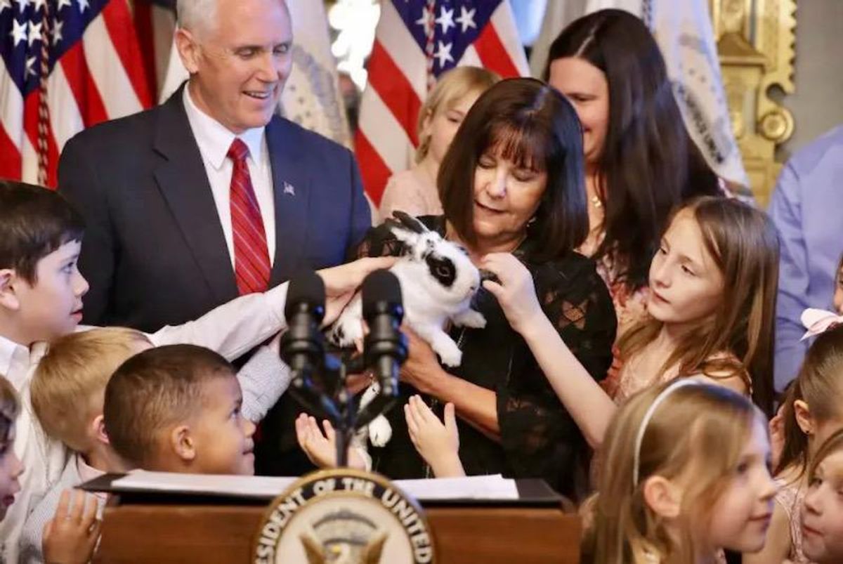 Mike Pence now considered a RINO because the GOP has moved so far to the right — and that's bad news for Pence