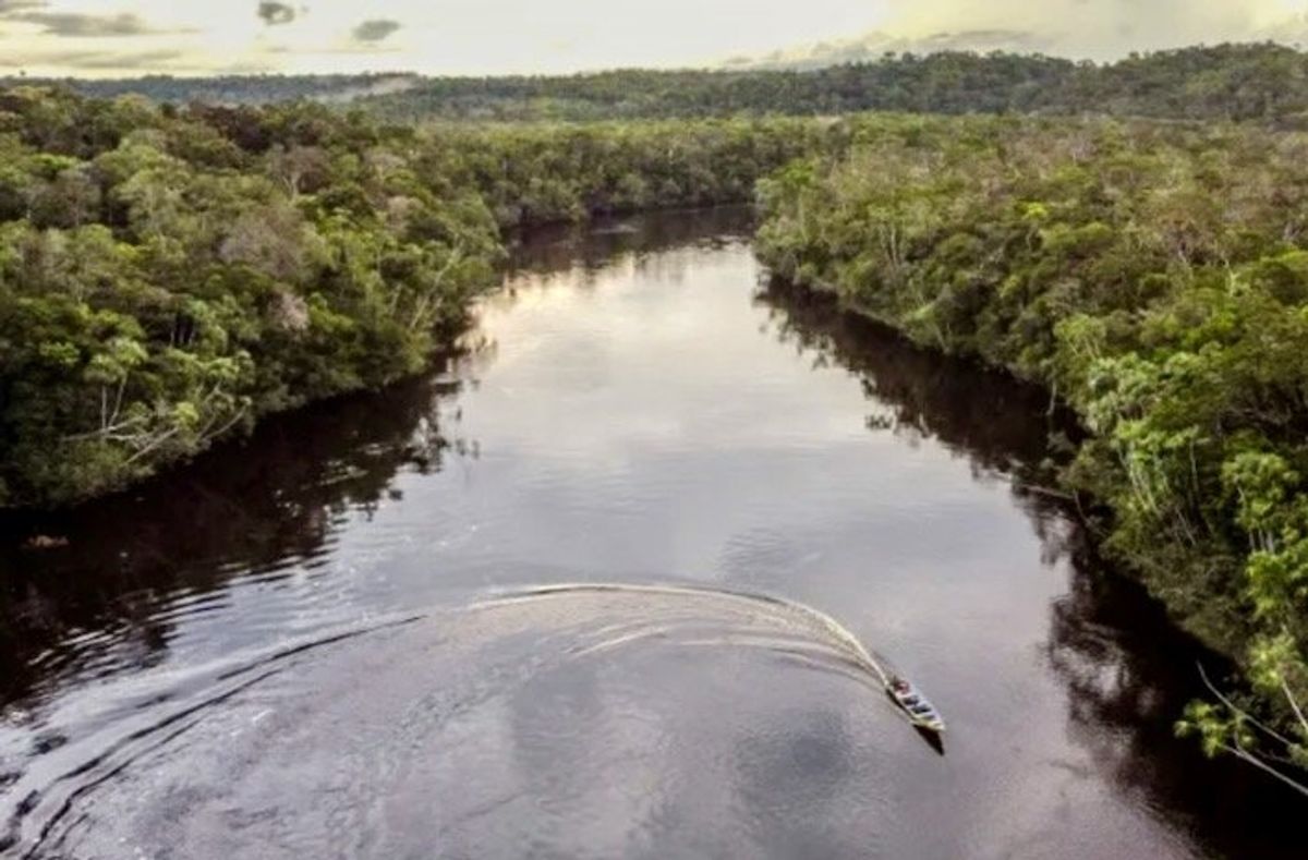 Amazon tribes win lawsuit over carbon credits in Colombia