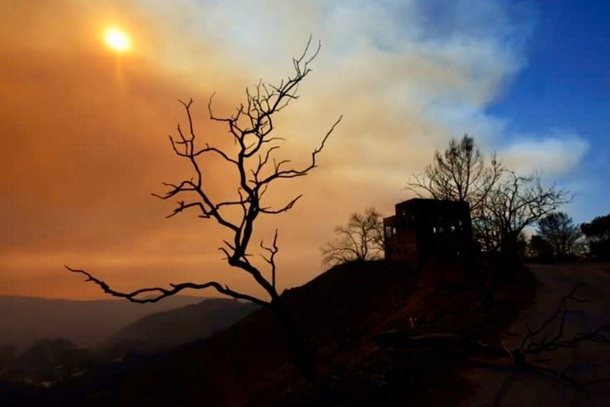 Right-wing disinformation targets DEI, 'liberal' policies as LA burns