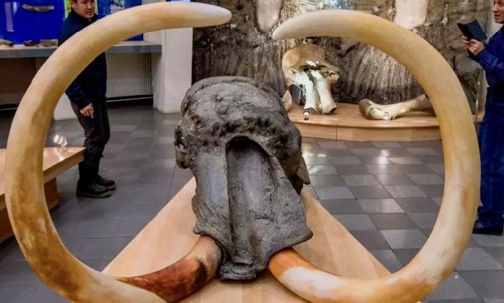 Russian scientists probe prehistoric viruses dug from permafrost