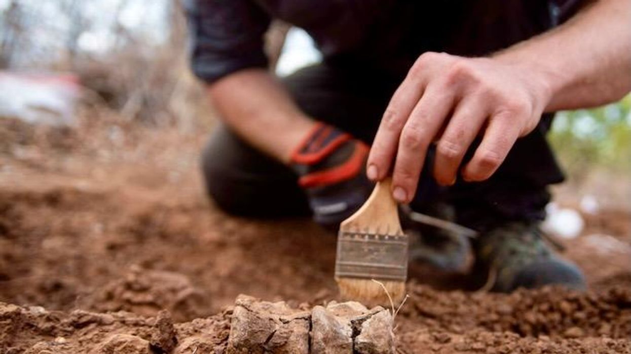 Africa's oldest dinosaur found in Zimbabwe