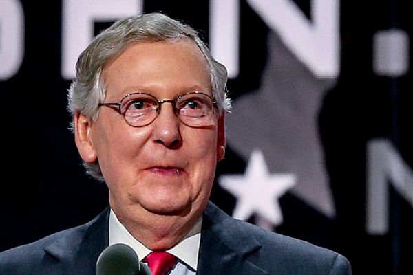 Mitch McConnell says unruly D.C. Republicans are Capitol Police's problem