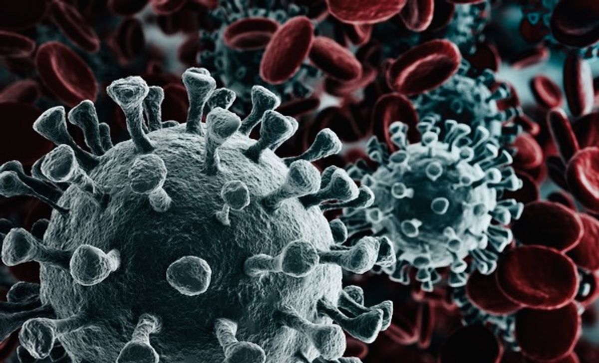 Blockbuster report delivers jaw-dropping revelations about potential origin of COVID-19