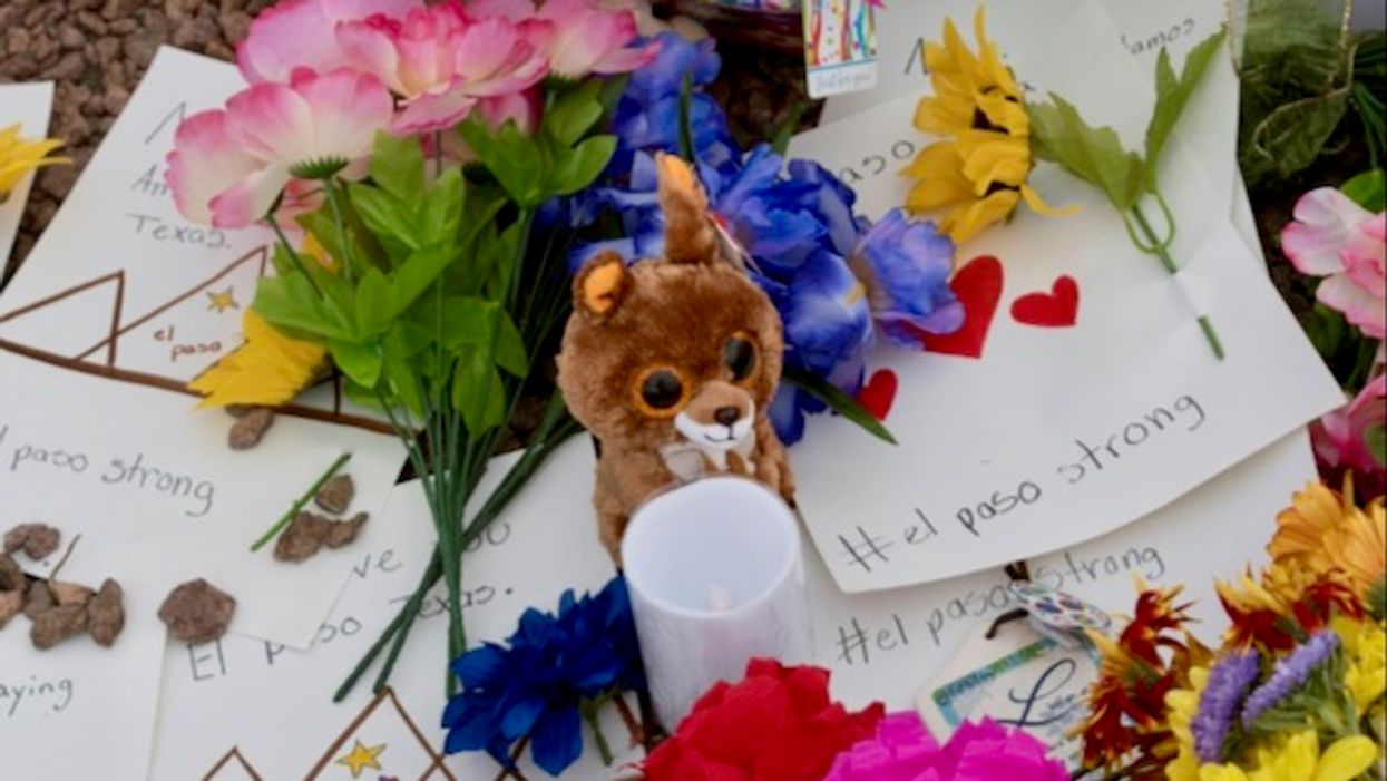 Watch these emotional pleas for gun safety reform from victims and their family members in 90-second highlight reel