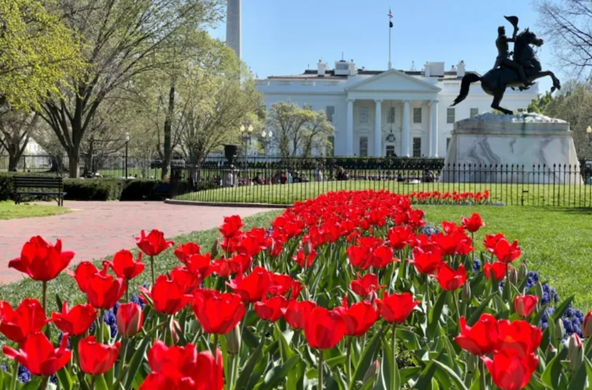 Man pleads guilty to driving truck into White House fence