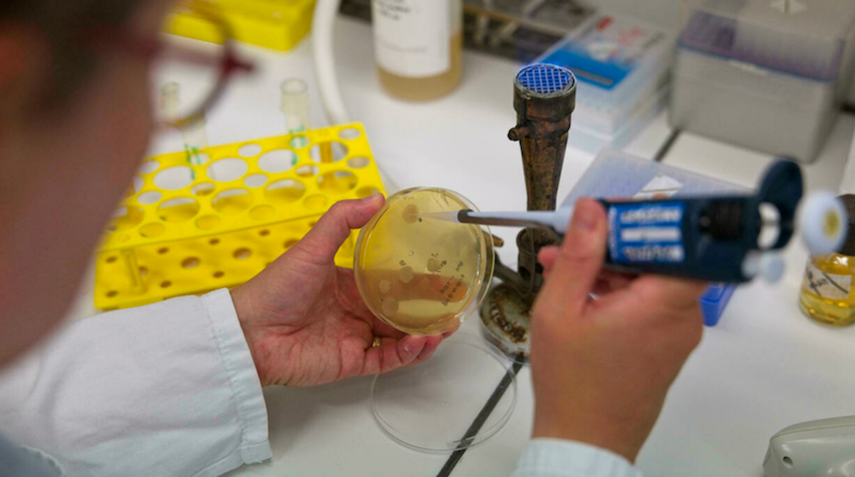 Vaccine nasal sprays aim to 'shut door' on virus