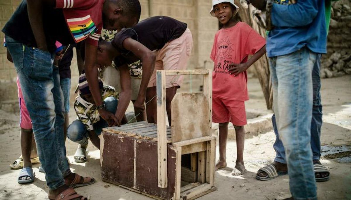 On the prowl: Mali child cat hunters honor age-old tradition