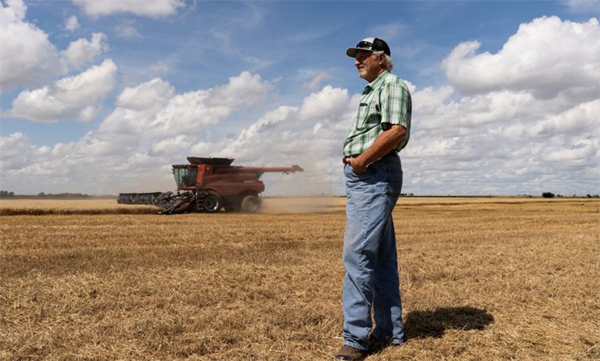 Farmers 'running out of cash' under ‘crisis’ brought on by Trump