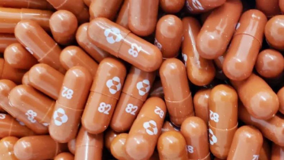 US regulator authorizes Merck's Covid pill