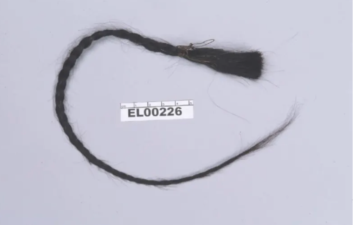 DNA confirms man is Sitting Bull's great-grandson