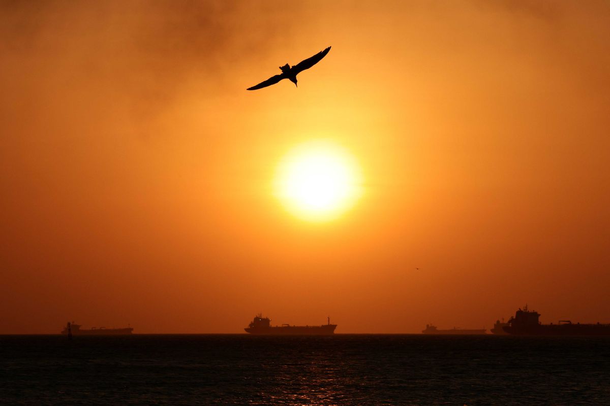 'Red flashing lights': White House official waltzes into oil industry amid ethics uproar