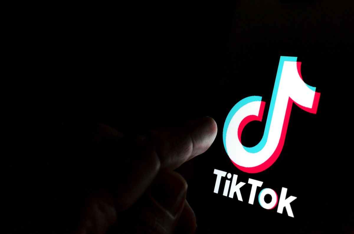 'Cesspool of lies': Critics groan as Musk floated to buy TikTok