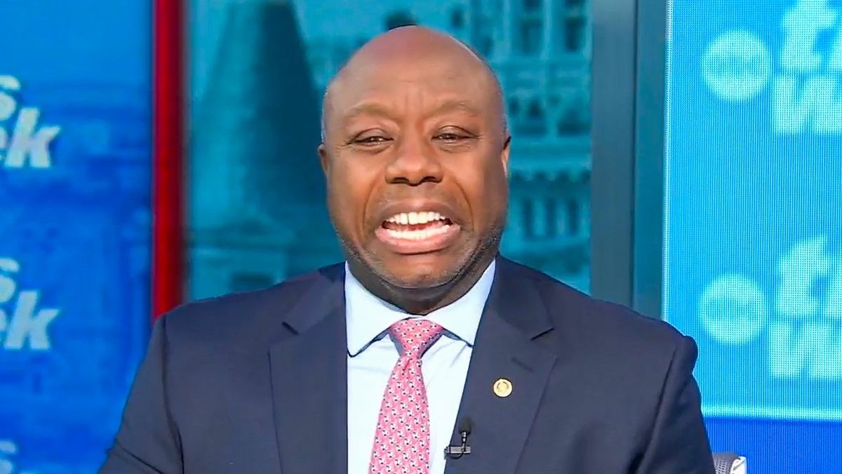 'A return to normalcy': Tim Scott's bizarre reaction to Trump's $83 million verdict
