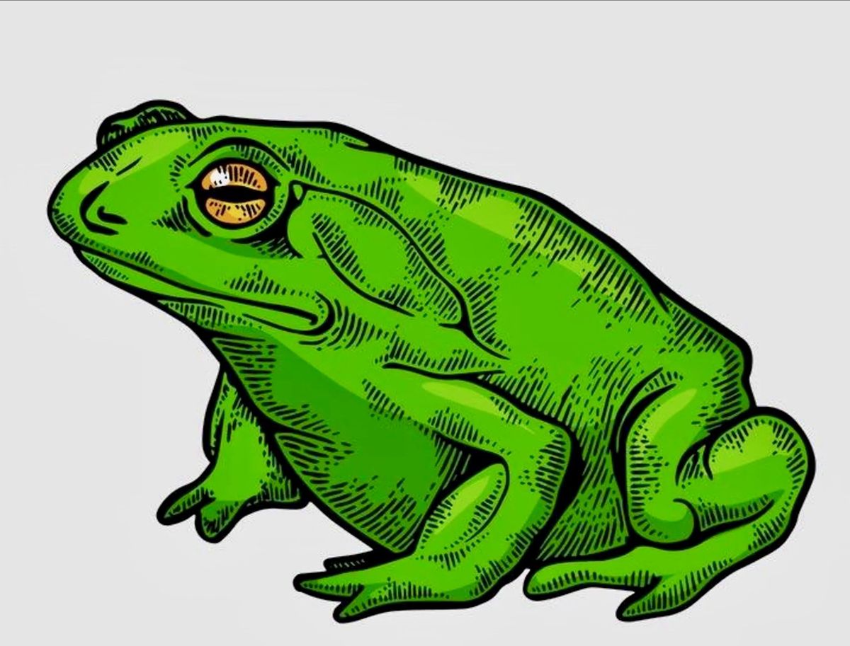 A secret war between cane toads and parasitic lungworms is raging