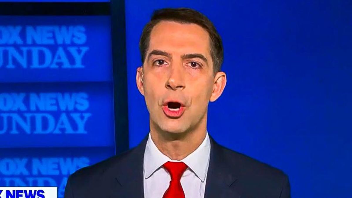 Tom Cotton pitches fit over filibuster 'rights for the minority' that protects white Republican senators