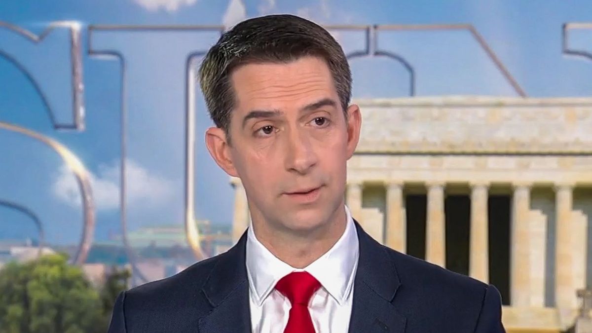 'You're all afraid of him': Fox News host corners Tom Cotton for bowing down to Trump