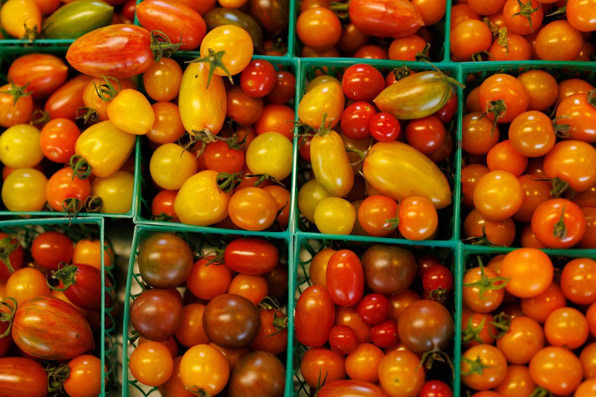 'Warrantless chaos': Trump blamed for soaring grocery bills in new report