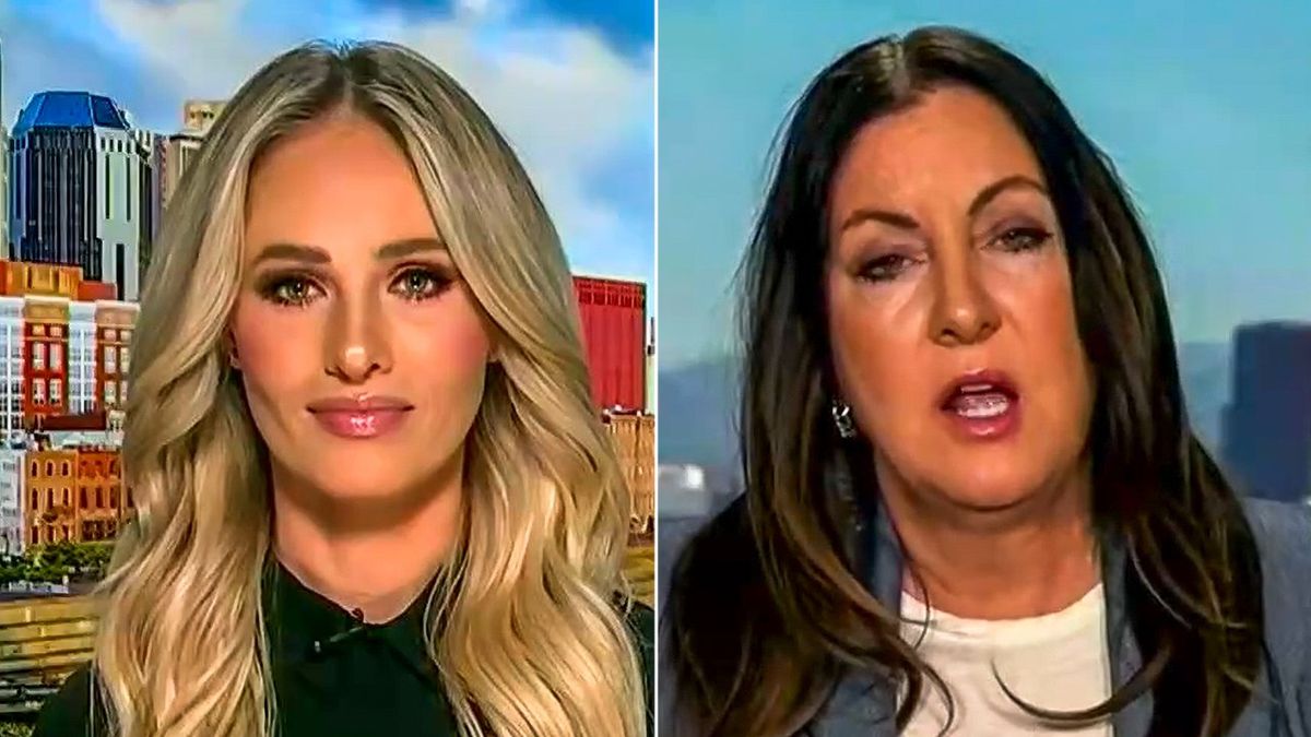'Not going to be brainwashed': Fox News pundit slams Trump's tariff 'screw up'