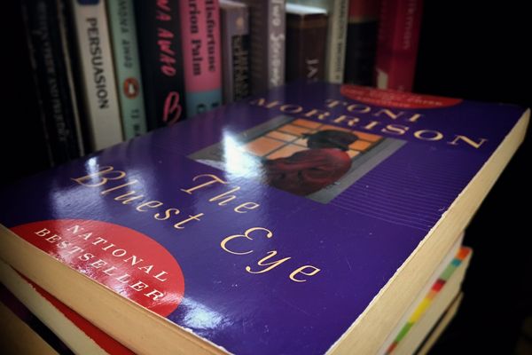 School board president swears in on pile of banned books instead of Bible: video