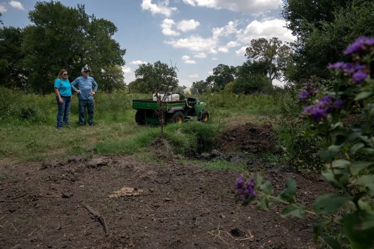 Texas farmers say sewage-based fertilizer tainted with 'forever chemicals' killed animals