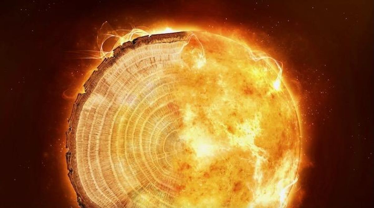 Radioactive traces in tree rings reveal Earth’s history of unexplained ‘radiation storms’