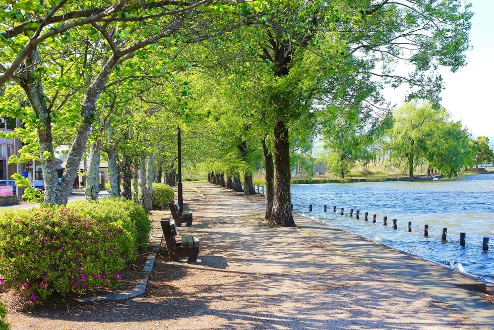 Cities are vulnerable to heatwaves. But green spaces can help more than we thought