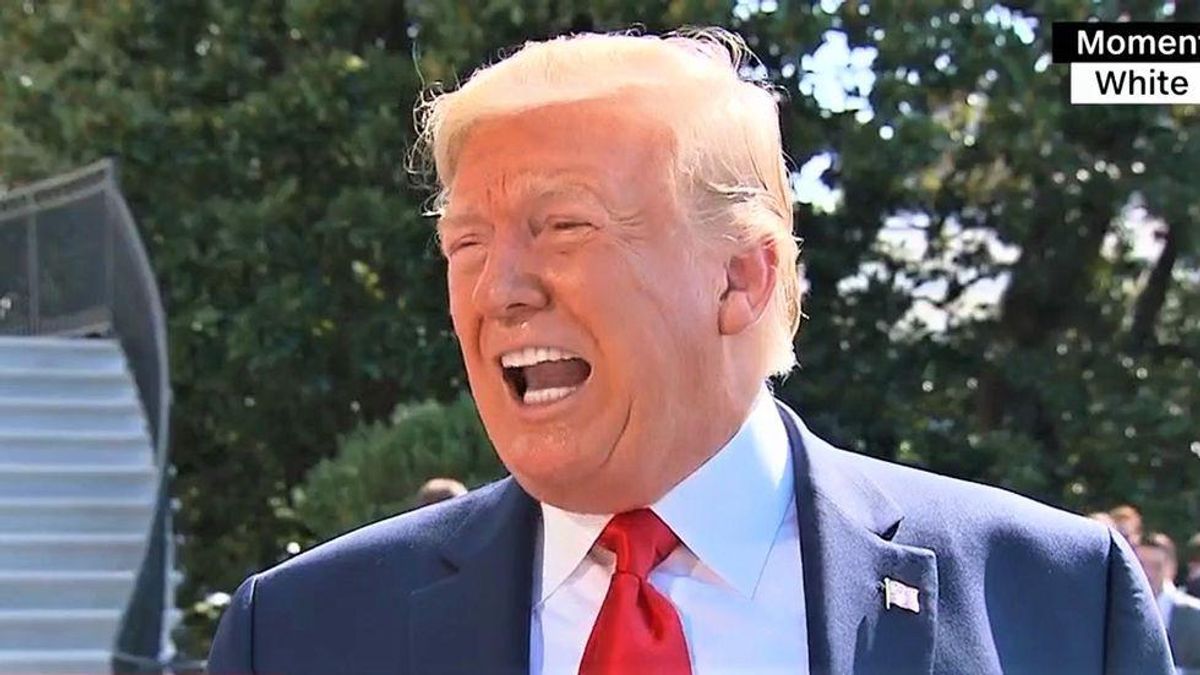 Trump is 'a bit of an imbecile' and thinks of Hitler as just another 'celebrity': historian