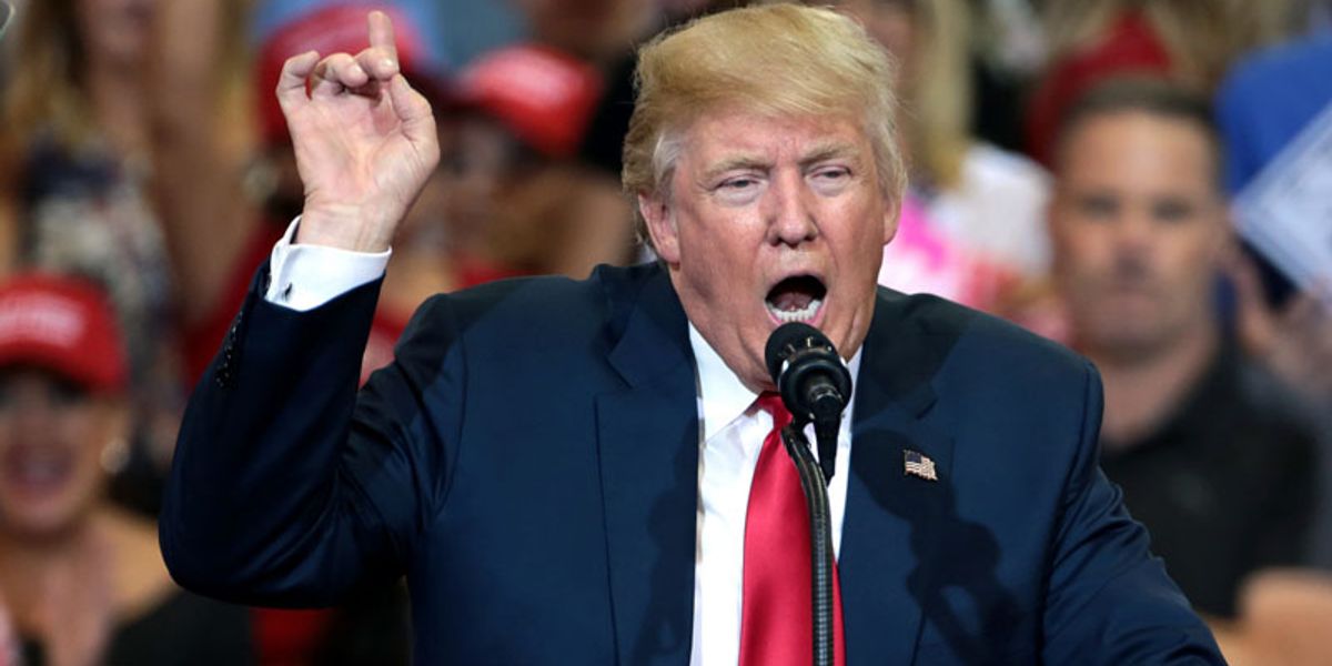Media is scared to appear hysterical by calling out Trump's danger to the U.S.: writer