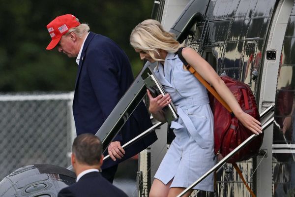 Trump took Natalie Harp's tablet to watch videos of himself during strategy meeting: NYT