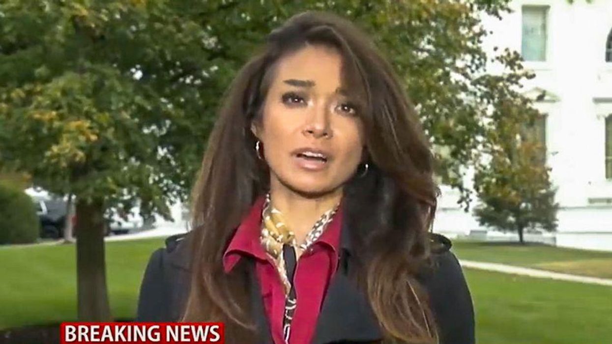 Dominion sues right-wing OAN and pair of Trump-loving reporters for spreading 'manufactured stories about election fraud'
