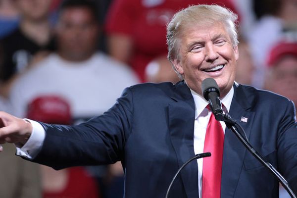 Trump wants Black voters to stay home so he can take back White House: columnist