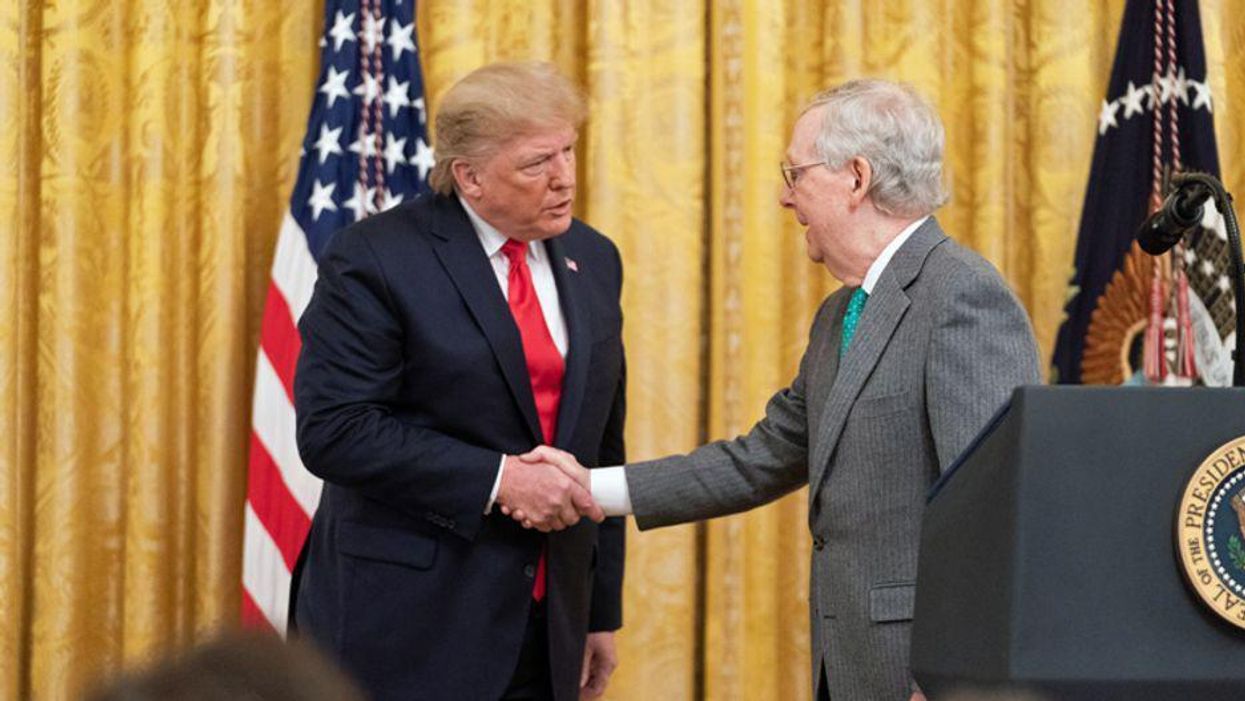 Trump doesn't care if McConnell reclaims the Senate — as long as the GOP remains 'his party': columnist