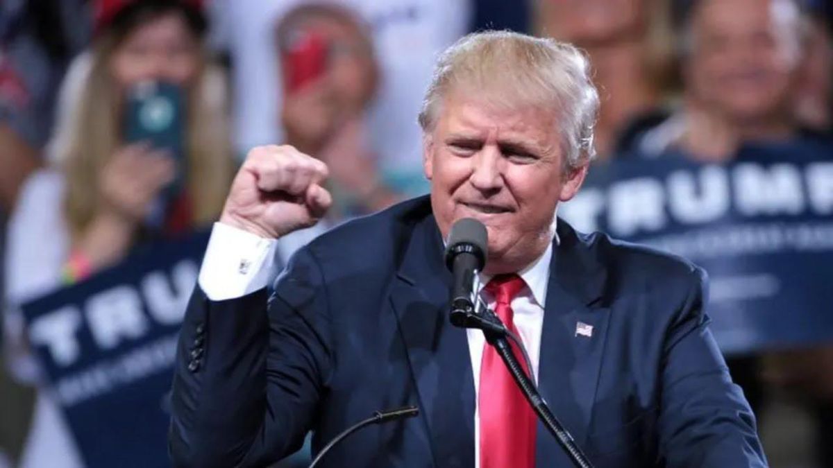 Trump ‘doesn’t care anymore’ and is in ‘burn it all down mode’: Maggie Haberman
