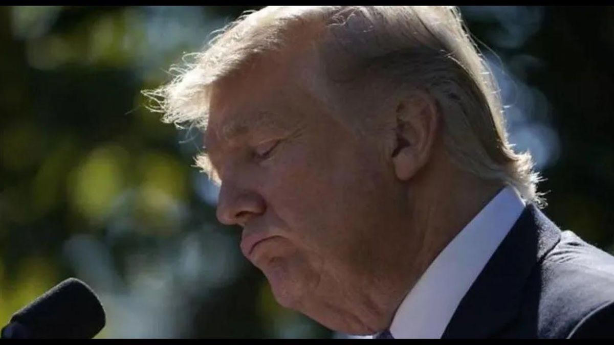 Trump just handed 'more disturbing evidence' to riot committee in interview with ABC's Karl: impeachment attorney