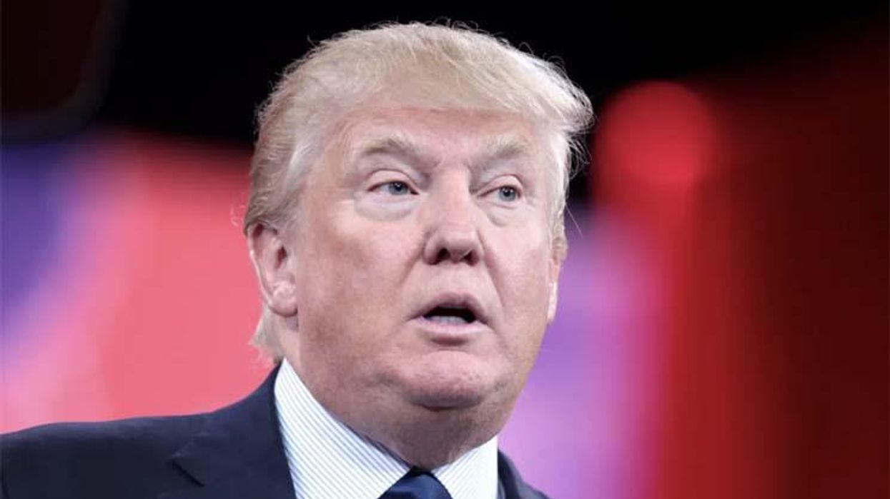 Trump's 'bizarre' new legal filing 'makes him look guilty': CNN analyst