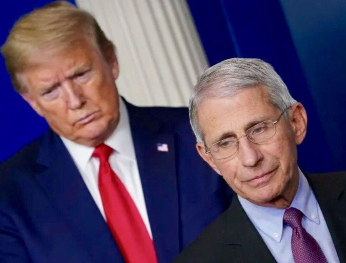 'There’s no room for secrecy': Boston paper calls on Trump appointees to come clean on his 'horror show' COVID-19 response