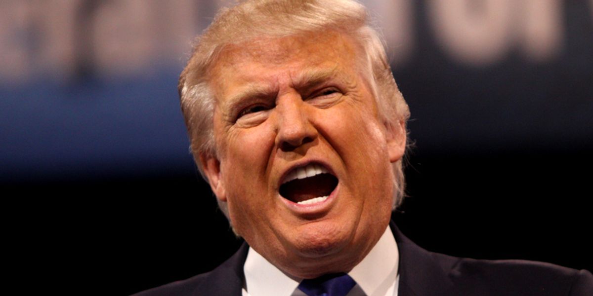 'Bizarre first sentence': Ex-prosecutor slams Trump's presidential immunity plea to SCOTUS