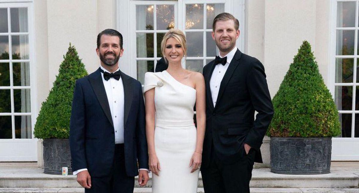 'Tax-evasion fever': Trump kids' roles in seven family businesses drawing investigator's scrutiny